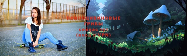 спайс Алексин
