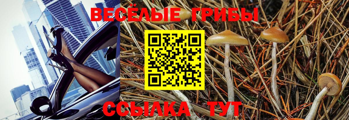 Южно-Сахалинск  Псилоцибиновые грибы мицелий  Вход с VPN 