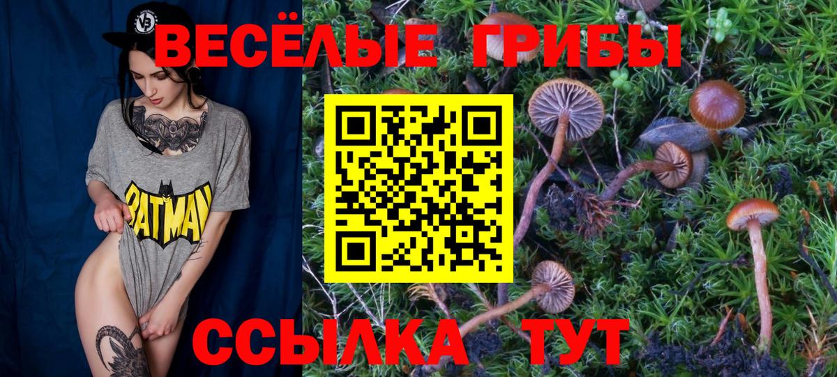 Псилоцибиновые грибы ЛСД Южно-Сахалинск